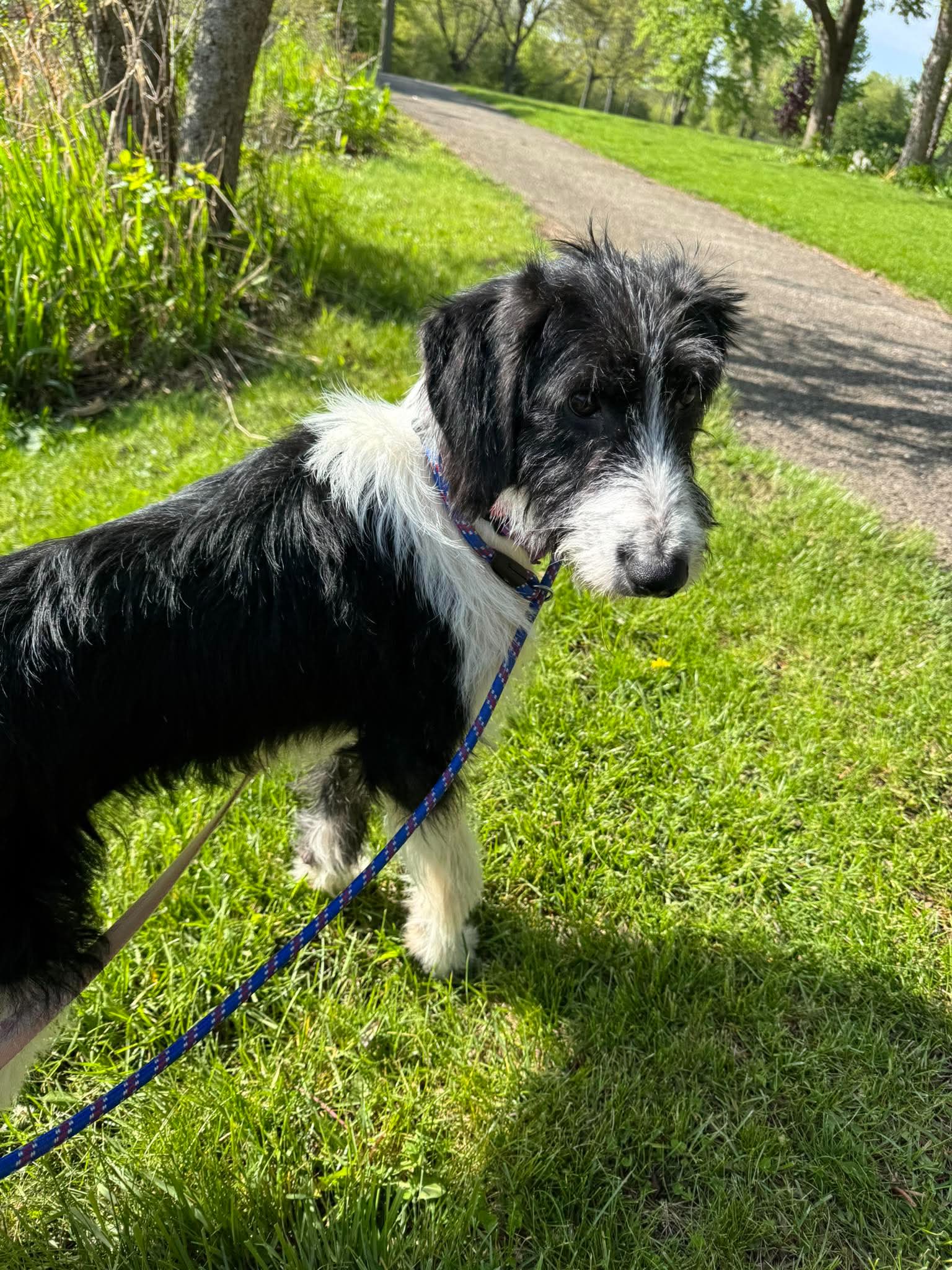 Tilly