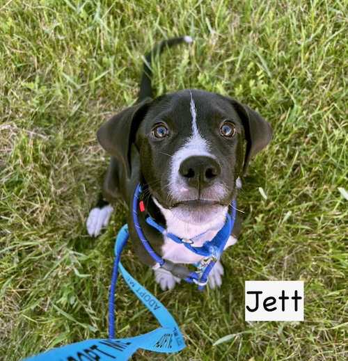 JETT