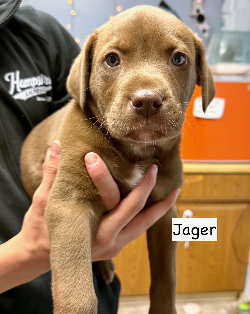 JAGER
