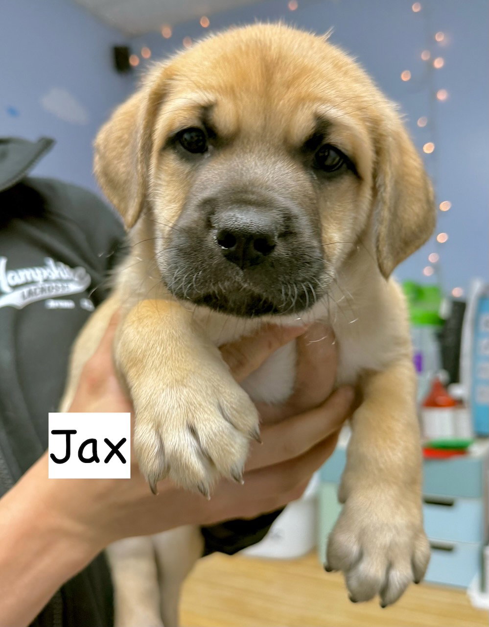 JAX