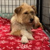Sally - Photo 3