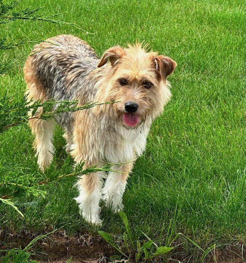Sally photo 4
