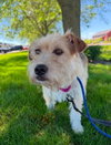 Sally - Photo 1