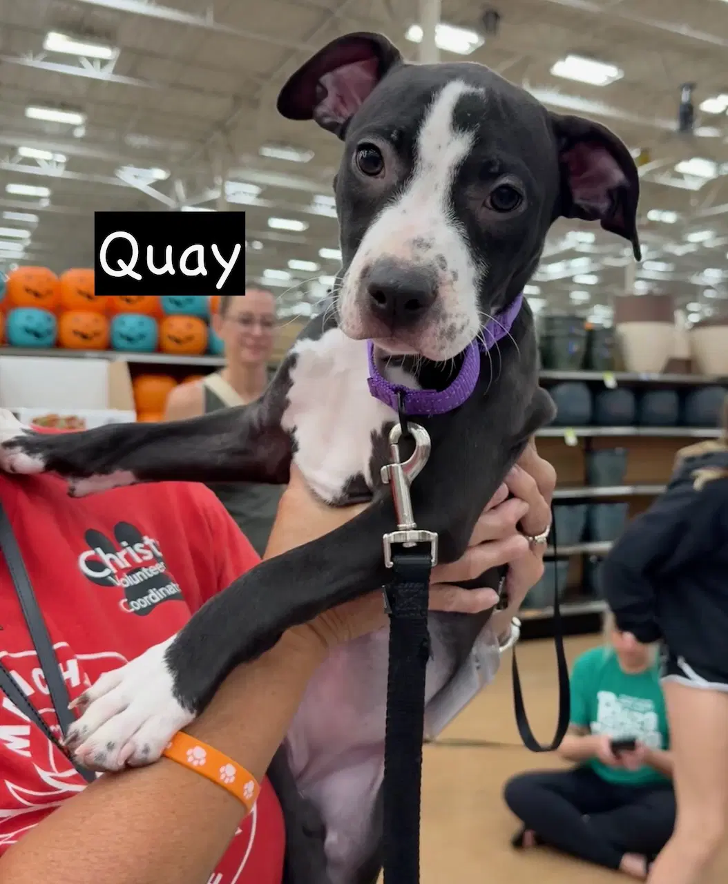 Quay image 3