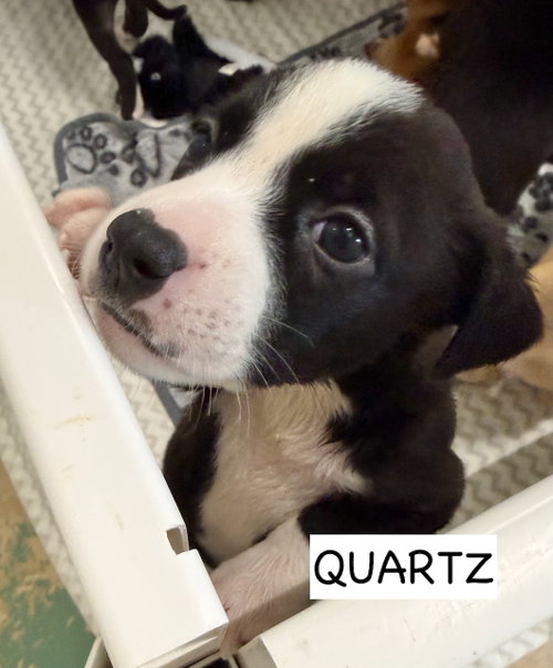 Quartz photo 3