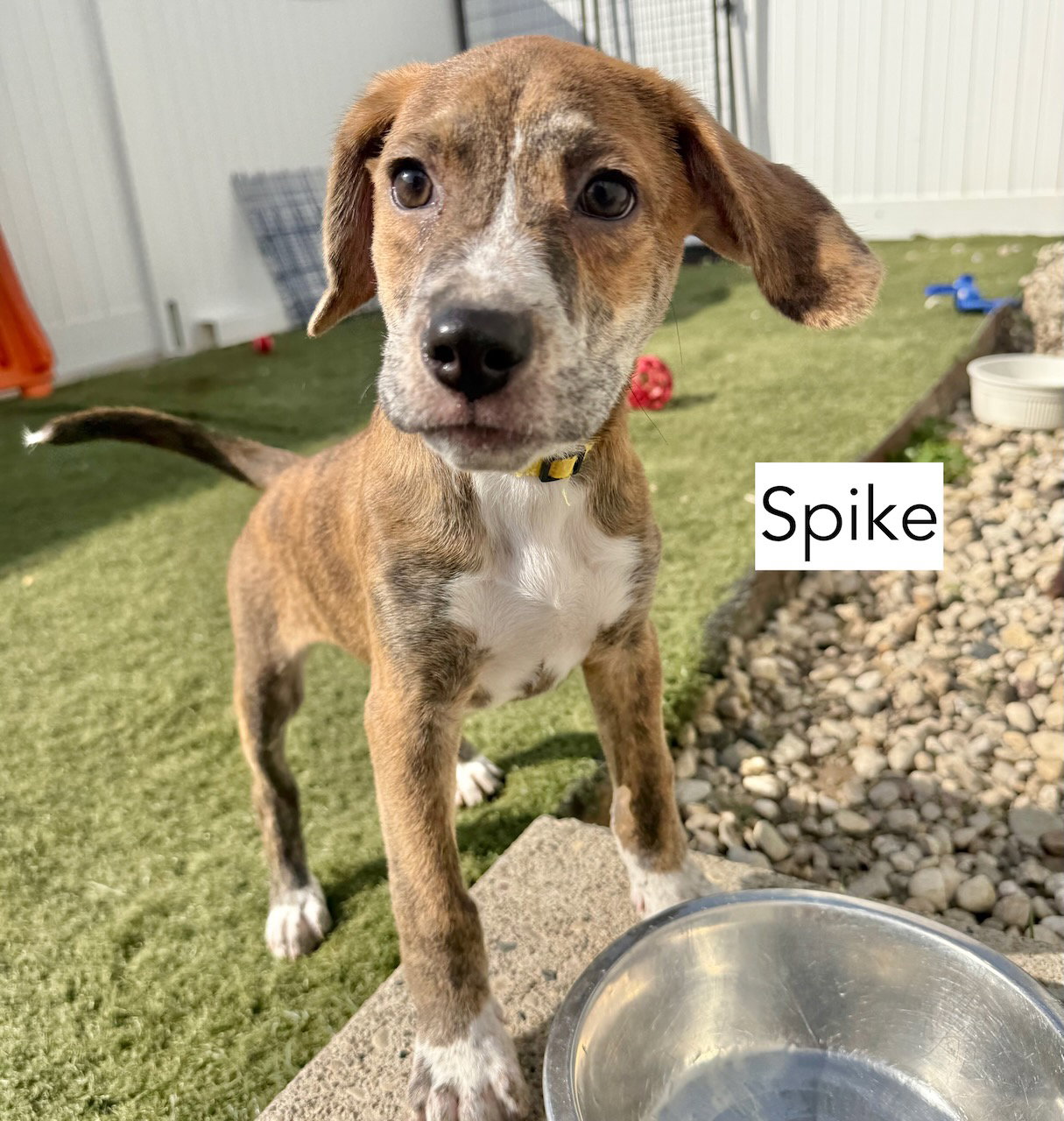 Spike