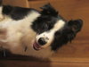 Luke - Photo 2