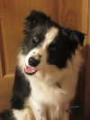 Luke - Photo 3