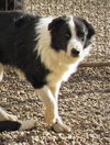 Hal - Photo 4