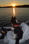 Rookie McGee "I've Been Adopted" - Photo 3
