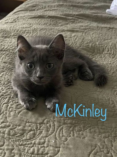 McKinley