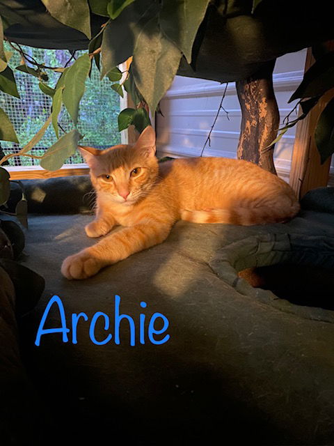 Archie