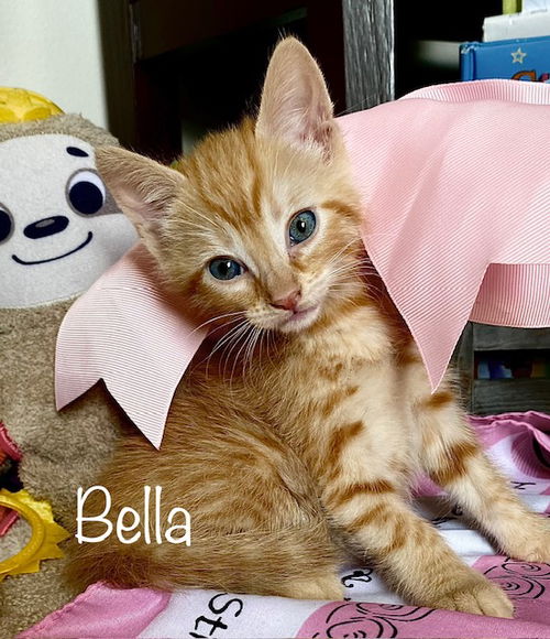 Bella