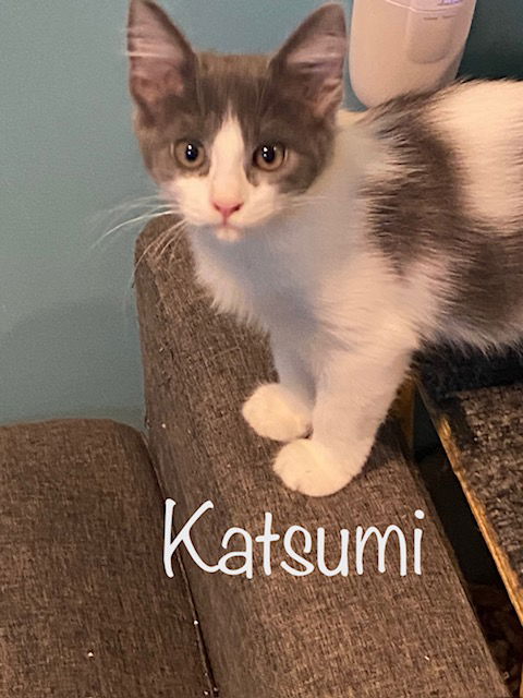 Katsumi