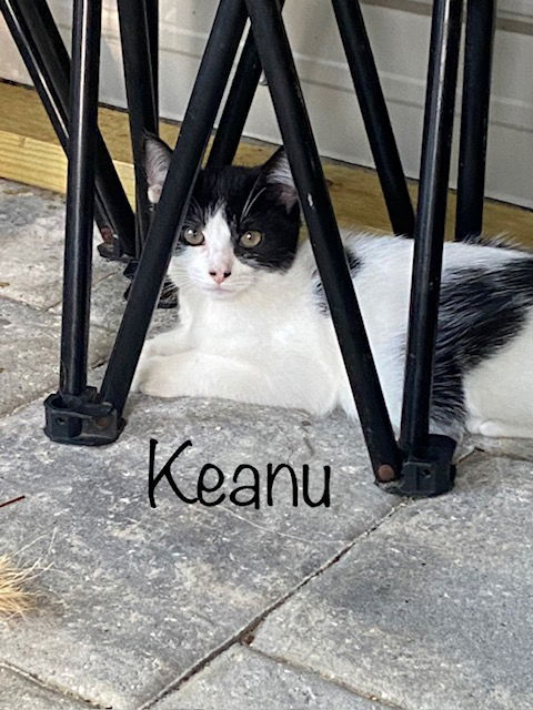 Keanu