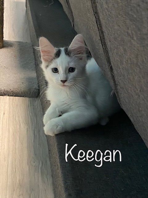 Keegan