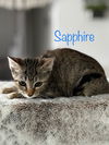 Sapphire