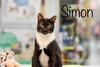 Simon