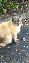 Zoey