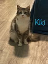 Kiki