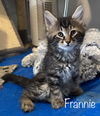 Frannie