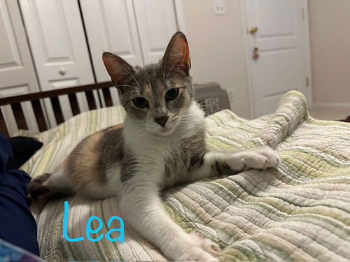 Leah
