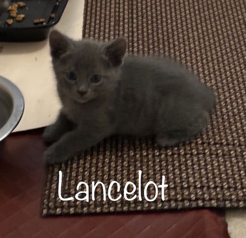 Lancelot