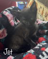Jet