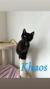 Khaos