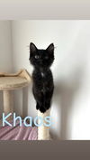 Khaos