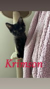 Krimson
