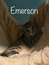 Emerson