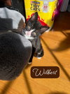 Wilbert