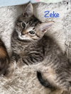 Zeke