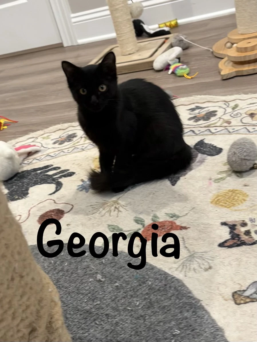 Georgia