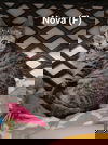 adoptable Cat in saugerties, NY named Nova