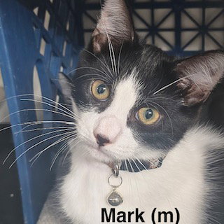 Mark