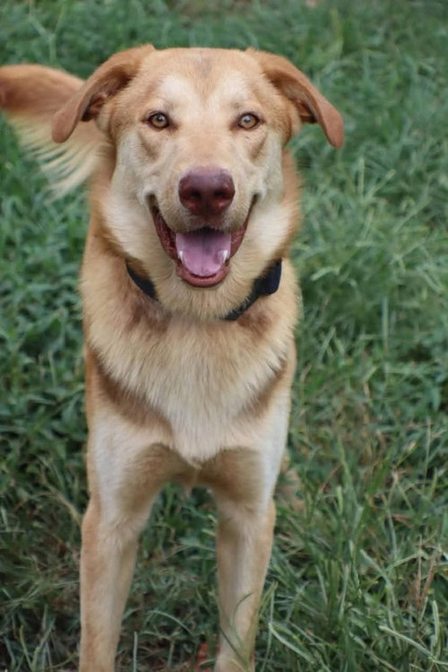 Photo of Tanner