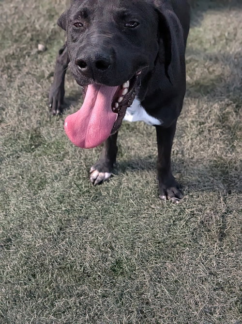Fletcher photo 2
