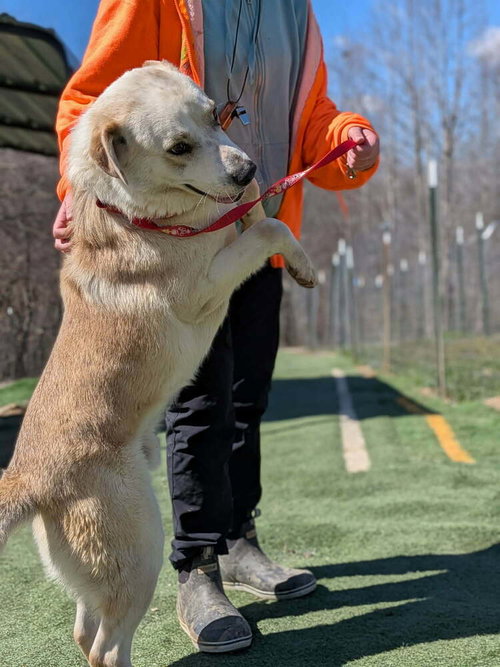 Zeus photo 4