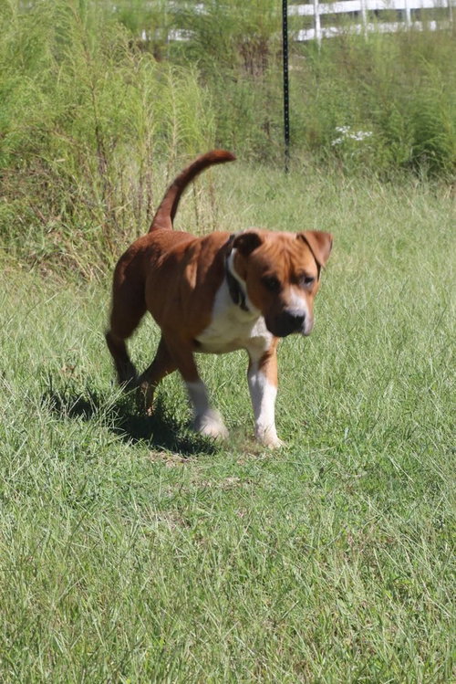 Photo 2 of Bear