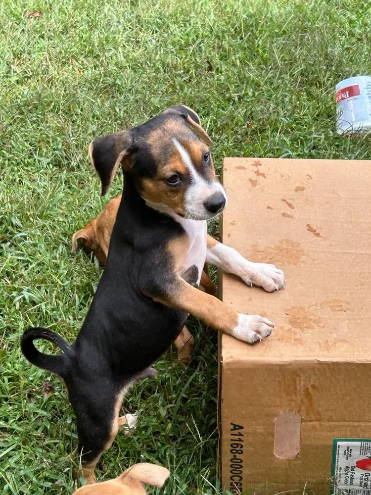 Vinnie - Unknown