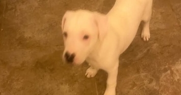 Photo 2 of Reed