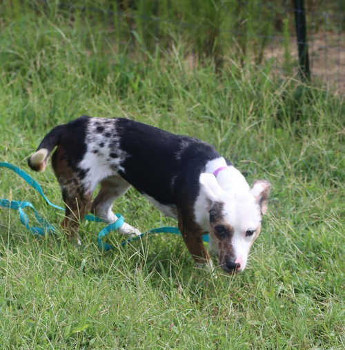 Photo 4 of Babygirl