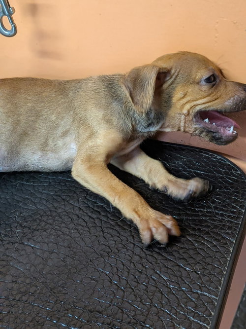 Photo 3 of Baby Jake