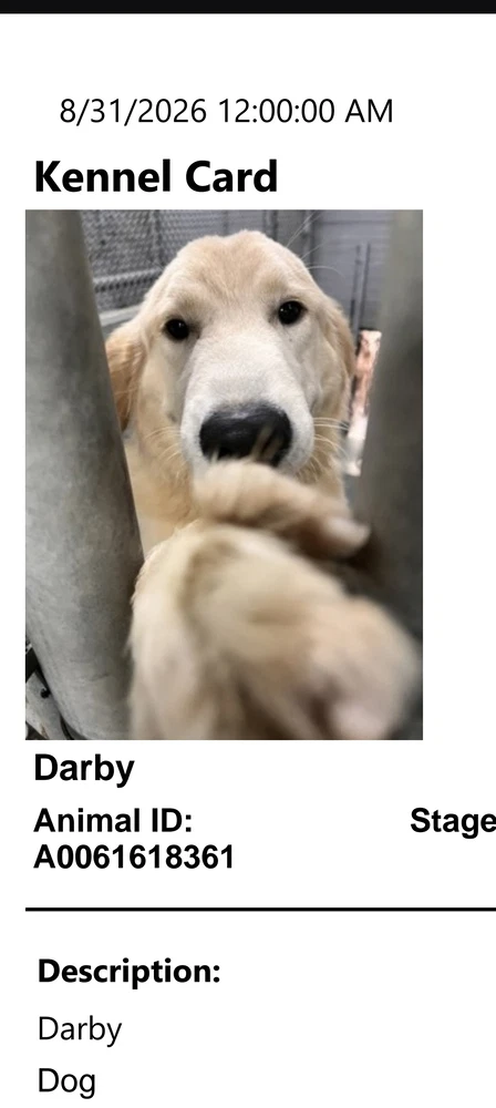 Darby