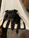 Zigby - Photo 6