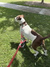 Gumbo - Photo 6