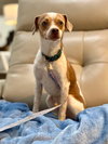 Cash - Photo 2
