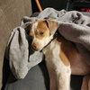 Cash - Photo 4